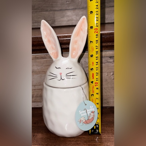 Super Cute 🥰 Spring/ Easter Storage Container- NEW - Picture 4 of 4